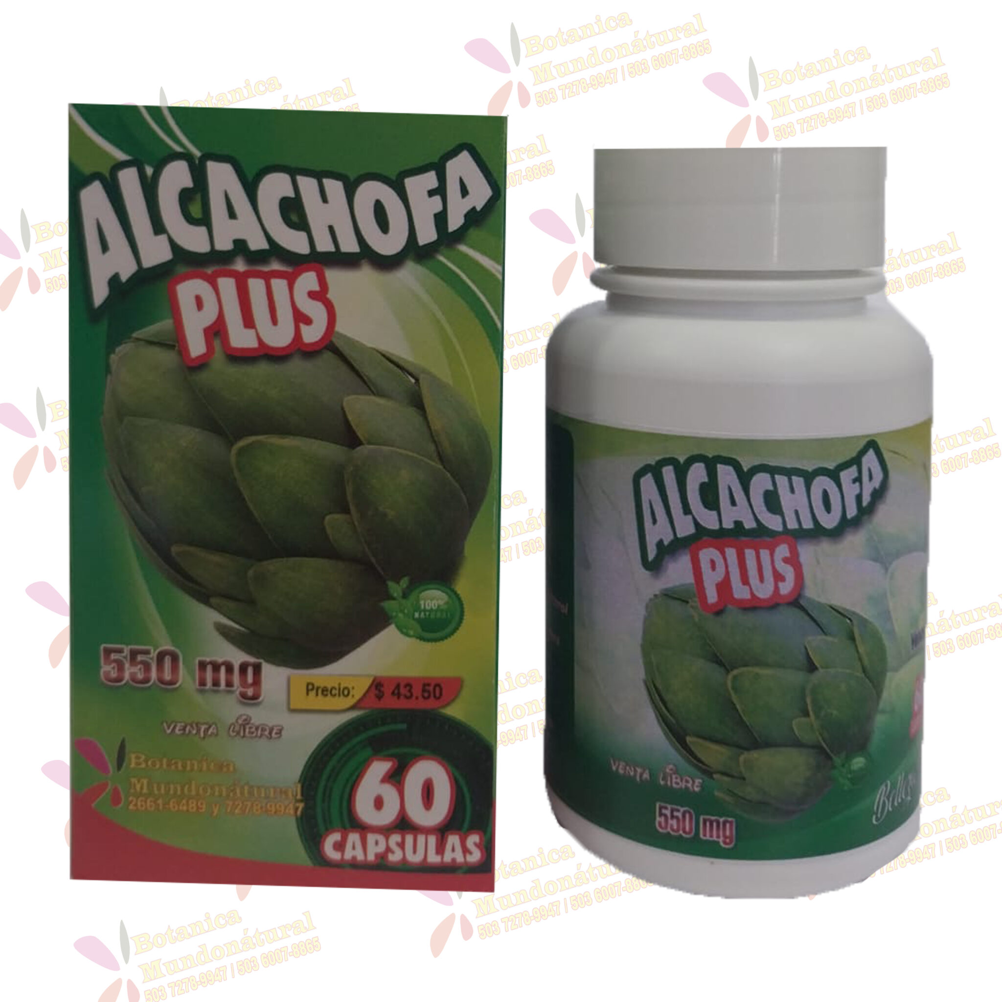 Alcachofa - Botánica Mundonátural | Sitio Oficial